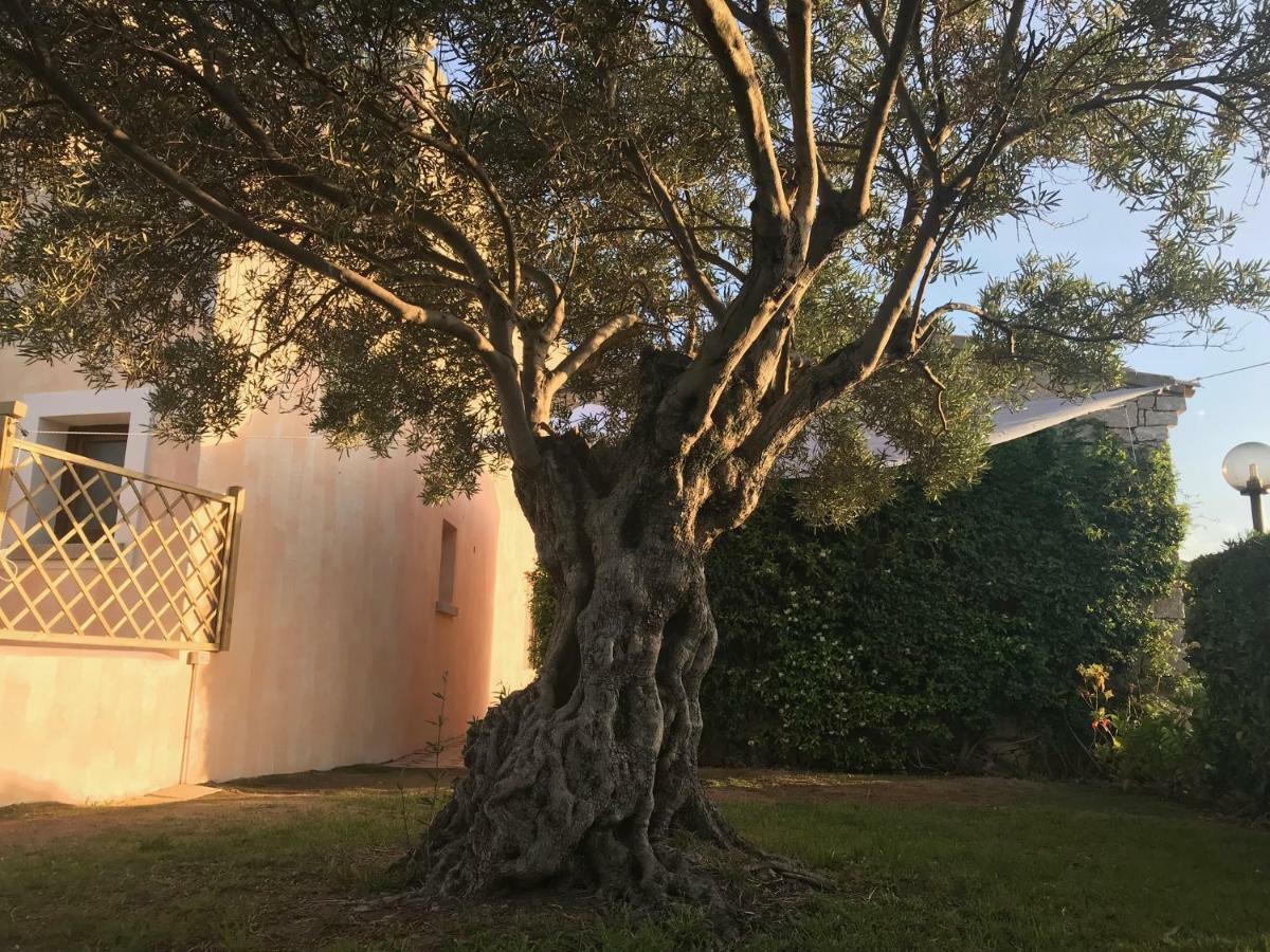 Esmeralda's Casa de hóspedes *